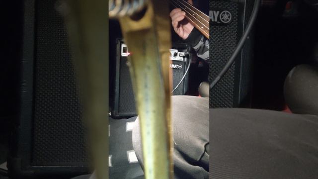 ibanez edb500 test vbgu(2) смотреть онлайн