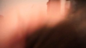 Как выкормить крольчат в 10 дневном возврасте