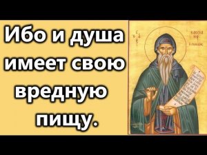 Преподобный Иоанн Кассиан Римлянин.Поучения.ч.4