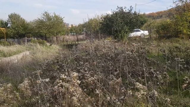 Участок в Супсех, свет, вода, газ смотреть онлайн