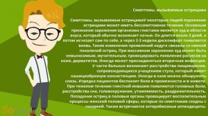 Острицы  Симптом и лечение