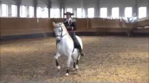 Испанская школа верховой езды