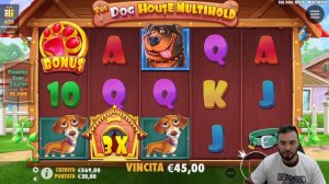 ⚫ THE DOG HOUSE MULTIHOLD - SLOT ONLINE ITA