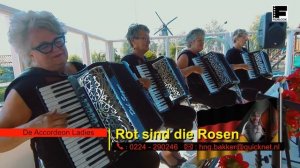 Rot sind die rosen