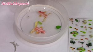 Рыбки 3d в эпоксидной смоле. Первая работа со смолой. ХоббиМаркет