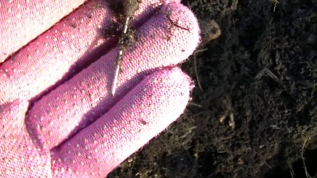 ОНИ ПОЛЕЗЛИ ИЗ ЗЕМЛИ, РАДОВАЛАСЬ ДО СЛЕЗ. Коп, поиск монет с металлоискателем смотреть онлайн