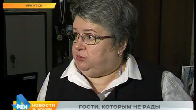 Тараканов обнаружили в столовой одной из школ Иркутска смотреть онлайн