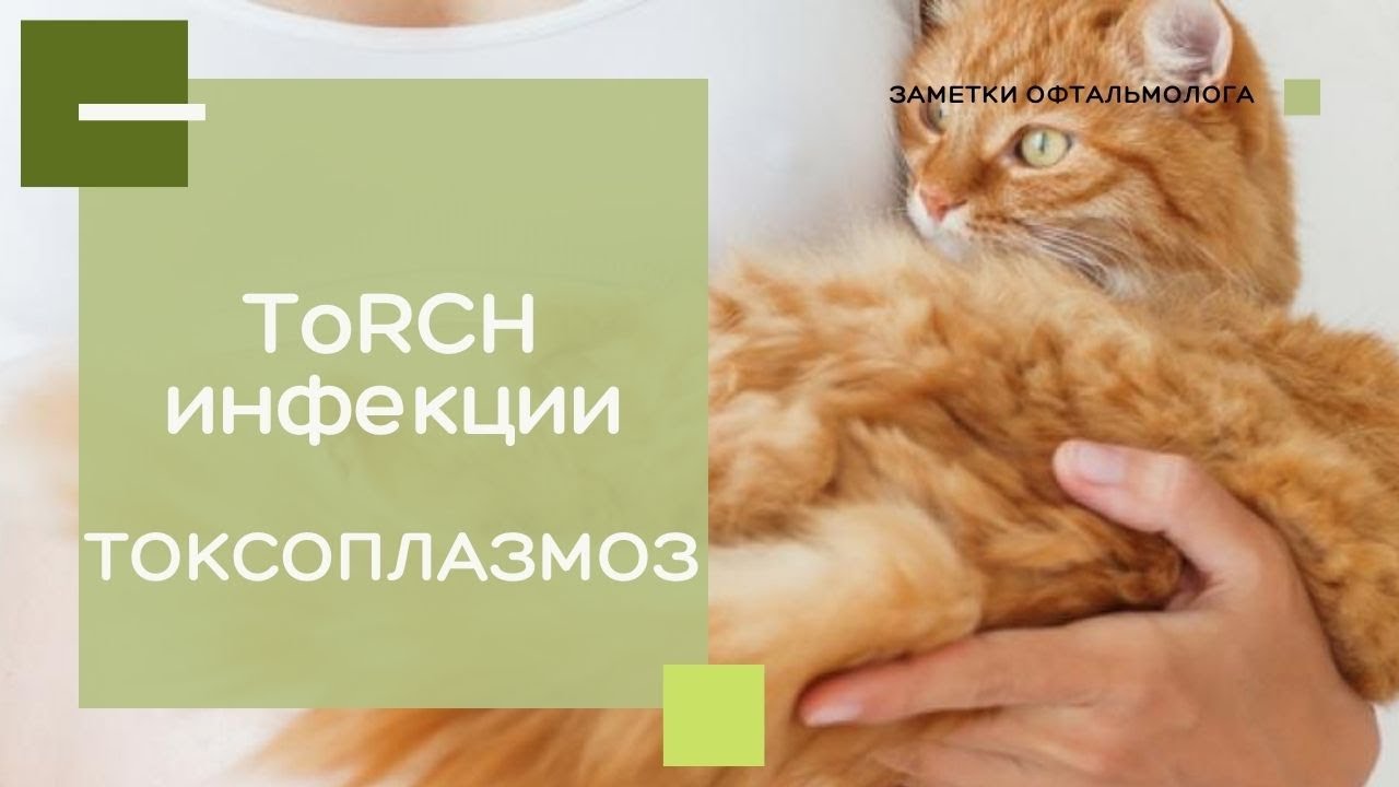 ToRCH-инфекции / ТОКСОПЛАЗМОЗ