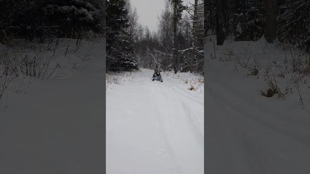 Snow forest #снегоход #снег #подмосковье #зима #snowmobile #покатушки #мотособака смотреть онлайн