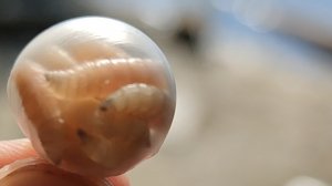 Новая Эпоха в рыбалке !