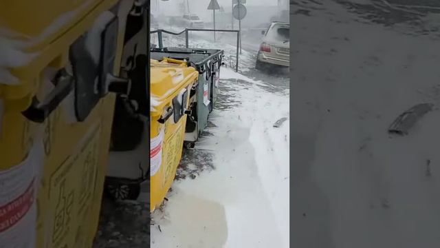 ПОГОДКА В ПЕТРОПАВЛОВСКЕ-КАМЧАТСКОМ