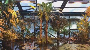 Ботанический сад, Москва. Часть 2. Оранжереи