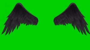 футаж крыльев