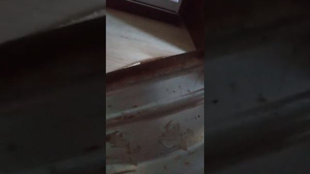 диск ваз 2101 и колпак уаз потриот(ели отмыл колпак) смотреть онлайн