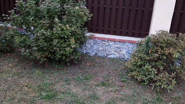 КАК СПАСТИ ЗАБОР ИЗ КАМНЯ ОТ ПЛЕСЕНИ И ГРИБКА. БЮДЖЕТНЫЙ ВАРИАНТ. (часть 3)