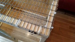 Клетка для размножения попугайчиков  Делаем своими руками