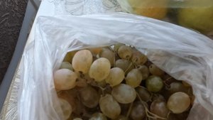 Закупка обычная будничная