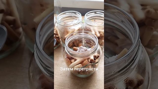 Как вырастить мицелий на палочках.