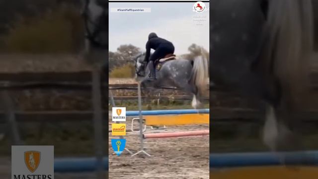 🐴💫 Casper Obolensky / Cornet Obolensky / Balou du Rouet ! 🏇🌟