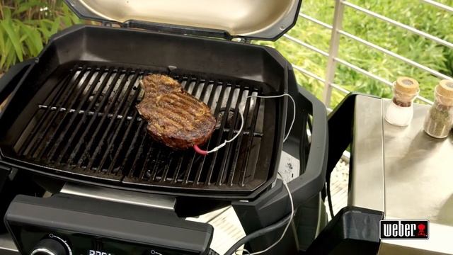 Weber PULSE Электрический гриль. Гриль каждый день