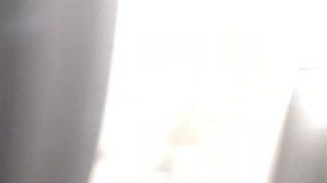 Фиат Панда 2008 Обзор