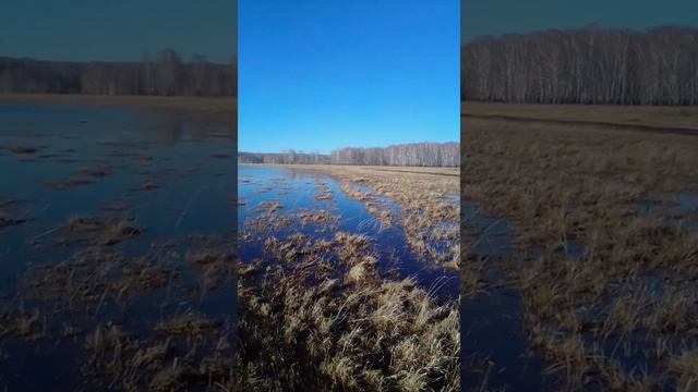 теплого уютного вечера друзья! смотреть онлайн