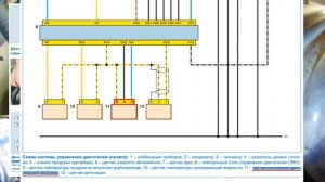 Схема Подключения Датчика Положения Дроссельной  Заслонки Ланос