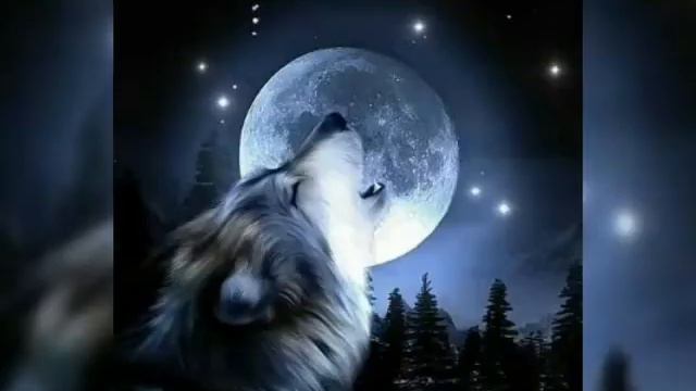 Безумно красивые картинки смотреть онлайн