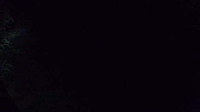 РЫБАЛКА С НОЧЕВКОЙ НА ФИДЕР С ДРУЗЬЯМИ! Шашлычок, отдых на природе, байки у костра. смотреть онлайн