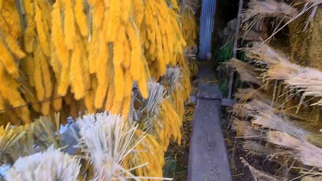 Malowanie setarii owsa i kłosów na Palmy Wielkanocne смотреть онлайн