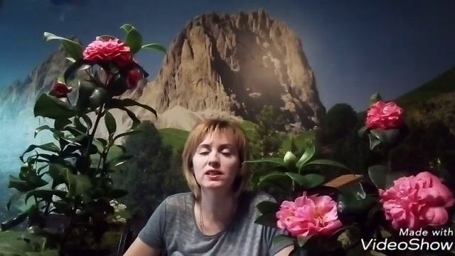 Мои камелии. Уход и выращивание. смотреть онлайн