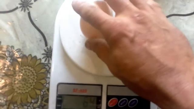 Увеличение диаметра яйца, несушка Ломан Браун смотреть онлайн