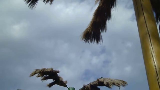 Пальмы сделанные из Веников!!! смотреть онлайн