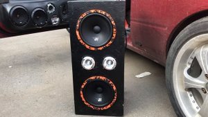 Обзор DL Audio Gryphon Pro 200 Midbass