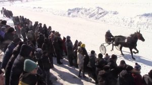 ОБЗОР на конно - спортивные соревнования. Уйский район, д. Яринка 2024г