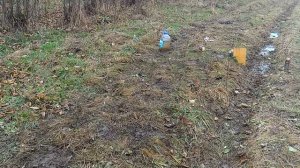 Гроза 021 VS Tanfoglio Vendetta