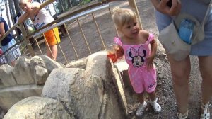 Динопарк, парк Динозавров, Ева и Алиса в динопарке. "Jupassic Park" Детское видео)