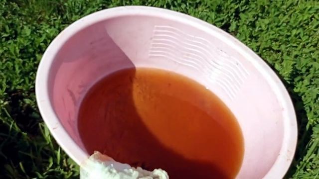 #картошка#отколорадского ПЕРЕЦ И МЫЛО ОТ КОЛОРАДСКОГО ЖУКА!ГОДНЫЙ ЛАЙФХАК?)#народное_средство_от_ко смотреть онлайн