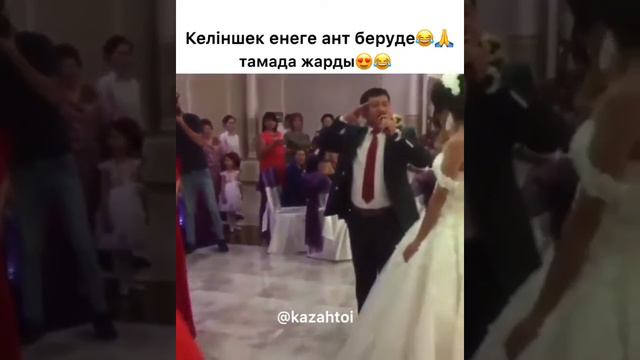 Тамада жарды😹