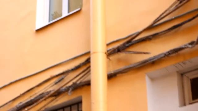 С Днем Рождения, Женя! смотреть онлайн