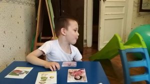 Аутизм. Смешанные блоки (тест) 4 года 10 месяцев