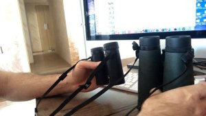 ED или bak 4 Бинокли?