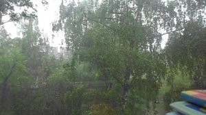 Дождь и гроза 31.05.2024.DSCN5453