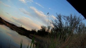 Рыбалка на щуку Что она вытворяла!!!! Ловля щуки на окуня