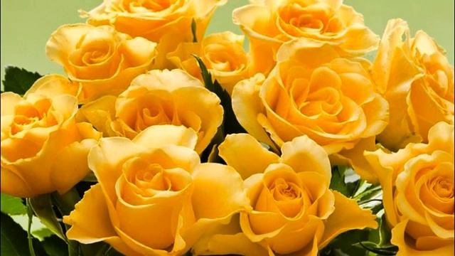 РОЗЫ ЛЮБВИ ст О Когдова,муз И Крутой смотреть онлайн