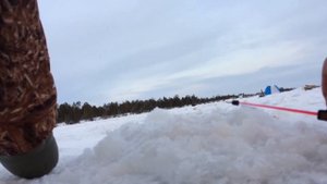 Рыбалка в Сургуте Рубрика-РыбачОК