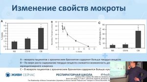 5.2 Дренирование мокроты. Обзор методов физиотерапии, фармакотерапии, механических приборов