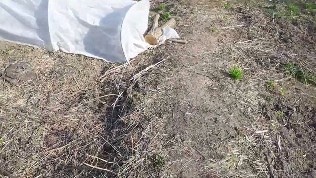 Обзор земельного участка. Начал разбирать сарай. смотреть онлайн