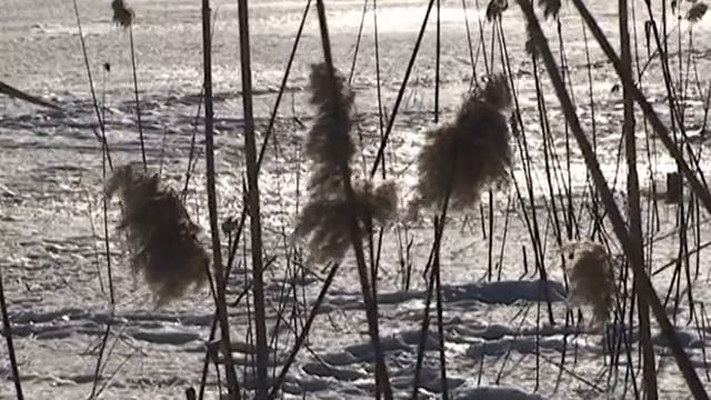 Стан криги та води у річці Тясмин