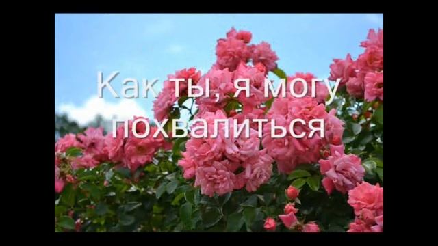 С днём рождения подруга! Красивая открытка. Валюша Бережная подруга детства.